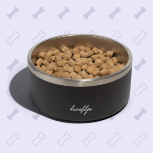 How Often Should You Replace Your Pet's Food and Water Dishes? 